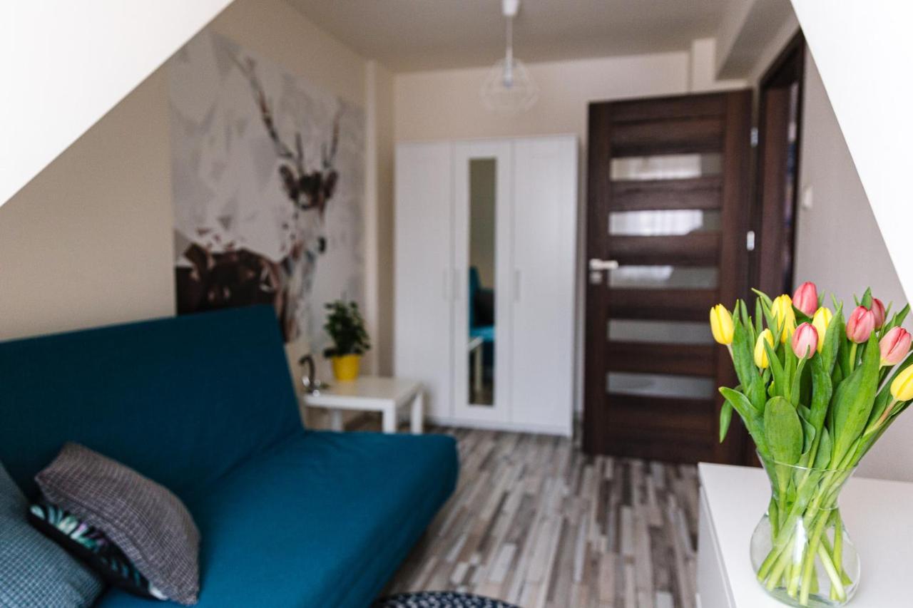 Apartament W Centrum Ustrzyki Dolne Esterno foto