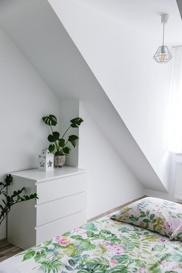 Apartament W Centrum Ustrzyki Dolne Esterno foto